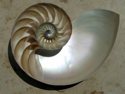 5732_101072266573889_100000133481587_28449_4077208_n